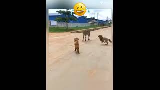 Haramzade Katya Ke Griban Per Hath Dala Tune