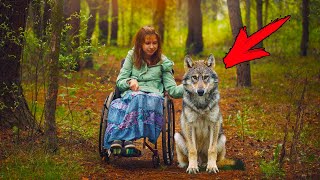 The stepmother left her paralyzed daughter in the forest. But look what the Wolf did!