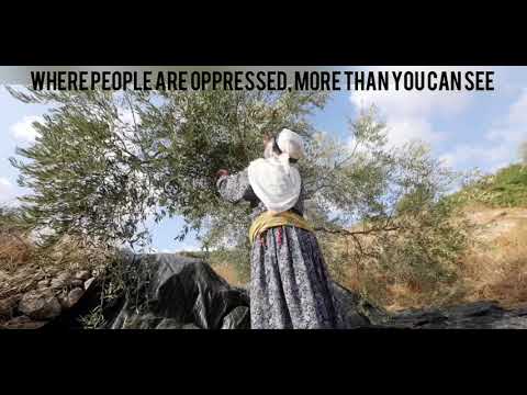 The Olive Tree - Loreen