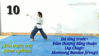 Bài quyền số 2 (Taegeuk I Jang) chi tiết và dễ hiểu có kèm song ngữ Việt - Hàn