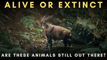 Already Extinct? Or Are They Still Alive?