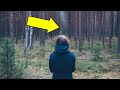 Once A Week, A Man Went Into The Woods. His Wife Decided To Follow Him After That She Was Different