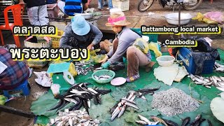 ตลาดสดพระตะบอง,ตลาดปลาจากทะเลสาบเขมร,ปลาจากโตนเลสาบ,Battambang Morning Local Market,Cambodia