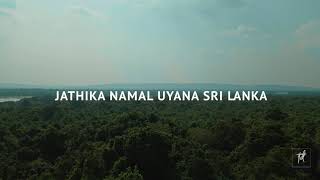 Jathika Namal Uyana - ජතක නමල උයන Dambulla