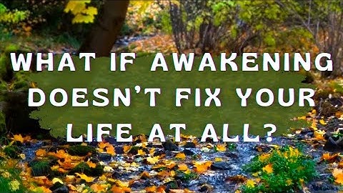 The Shocking Truth About Life After No-Self