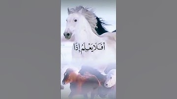افلا يعلم اذا بعثر ما في القبور ||تلاوه خاشعه