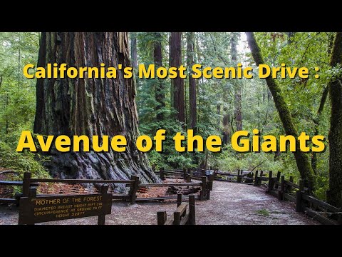 Vidéo: Redwood Highway : la route la plus pittoresque du nord de la Californie