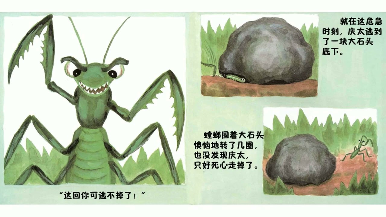 奇妙迷宫：儿童有声绘本故事，探索冒险乐趣