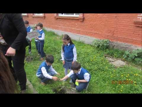 ისუნთქე o 2 პრეზენტაცია