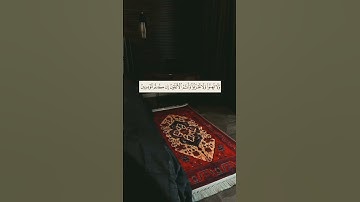 القارئ سعد الغامدي #quran