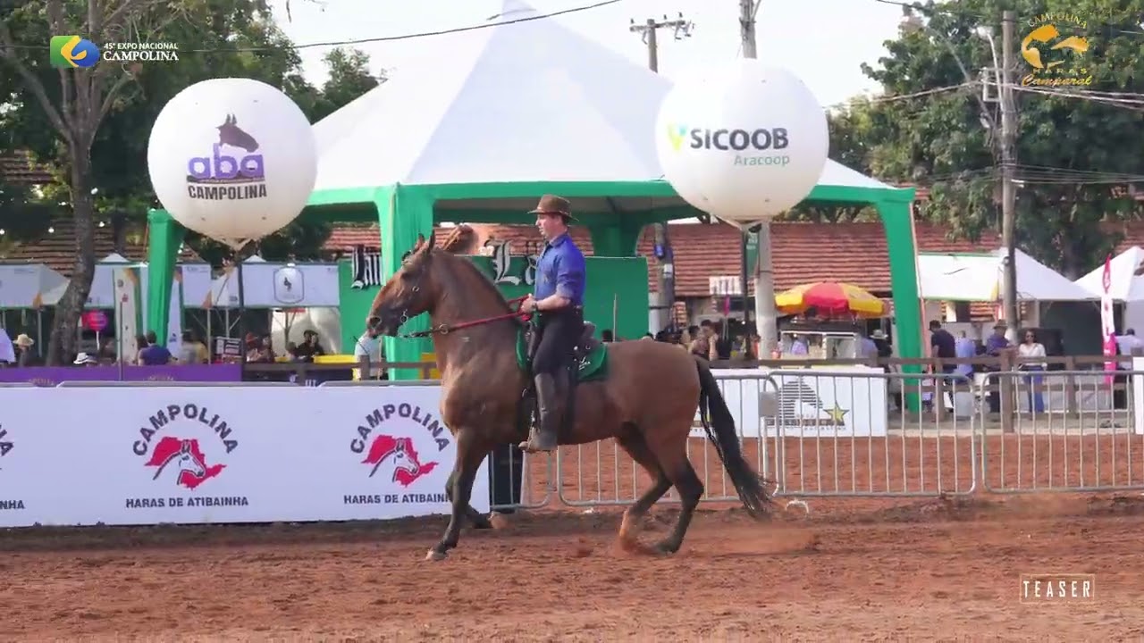 RAGNAR DO CAMPARAL 45º NACIONAL DO CAVALO CAMPOLINA