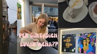 Vlog6/Kaip šventėm mano 17 gimtadienį :)