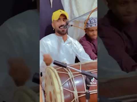 معلايه الفيل ح5س 