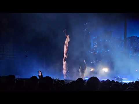 RAF CAMORA München 11.2024