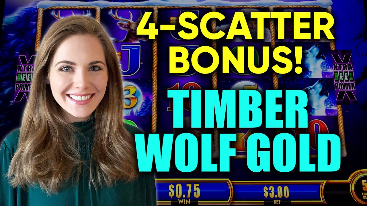 4 SCATTER BONUS! First Time Playing NEW Timberwolf Gold Slot Machine!