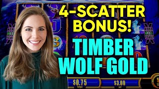 4 SCATTER BONUS! First Time Playing NEW Timberwolf Gold Slot Machine! screenshot 5