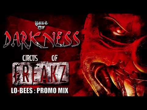 Lo Bees - Haze of Darkness [Promo Mix]