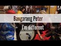 Bangarang peter  im different  shred in the shed