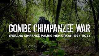 GOMBE WAR: PERANG ANTAR KELOMPOK SIMPANSE DI TANZANIA | Eps 45