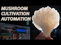 Mushroom Cultivation Automation, DIY From Foraging to Fruiting