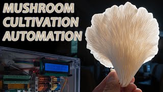 Mushroom Cultivation Automation, DIY From Foraging to Fruiting