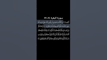 سورة البقرة ٥٤-٥٧ #قرآن #بصوت_القارئ #ياسر_الدوسري #fly #اكسبلور #راحة_نفسية #