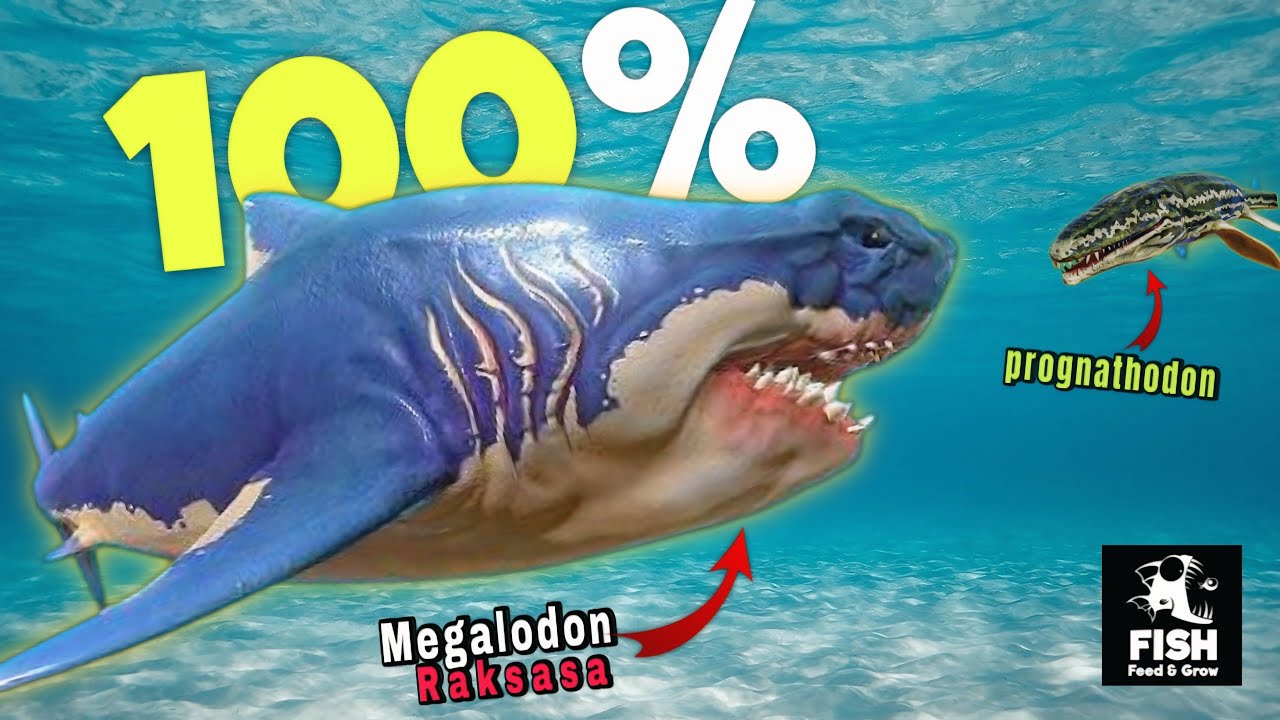 Aku jadi Ikan Megalodon TERBESAR dan TERBRUTAL di Lautan - Feed and Grow Fish