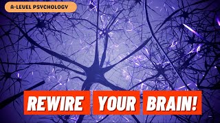 How can the Brain RECOVER from Trauma? | Brain Plasticity & Functional Recovery