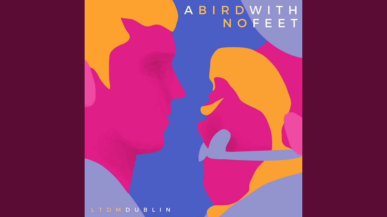 A Bird With No Feet (feat. Dan Elliott, Carlinhos Cruz, Meg LaGrande, Shane Butler, Stephen...