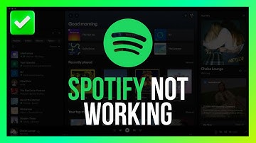 [Easy Fix] Spotify Not Working on Windows 11