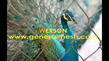 generalmesh zoo mesh, bird aviary mesh, bird cage netting,bird enclosure netting