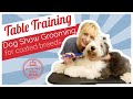 Table Training Coated Breed Puppies for Grooming