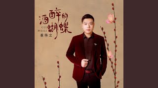 酒醉的蝴蝶 (DJ何鹏版)