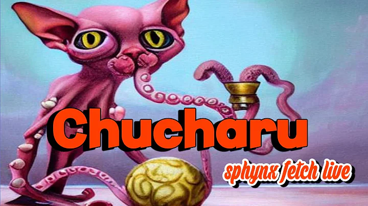 Video 11311151: sphynx cat living, hairless cat playing, cat playing fetch