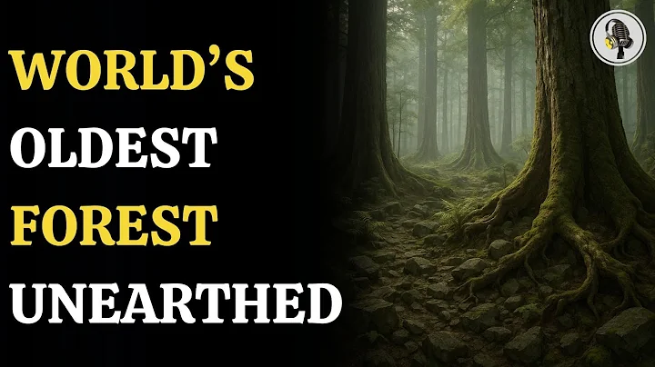 Scientists Discover the World’s Oldest Forest in the US | WION Podcast