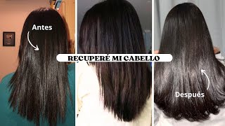 ASÍ RECUPERÉ MI CABELLO ✨ (con fotos)