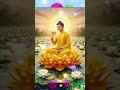 Cổ nhân dạy 🙏 #tubi #loiphatday #phattu #baihoccuocsong #trietlysong #tamtrang #thathu #phatgiao