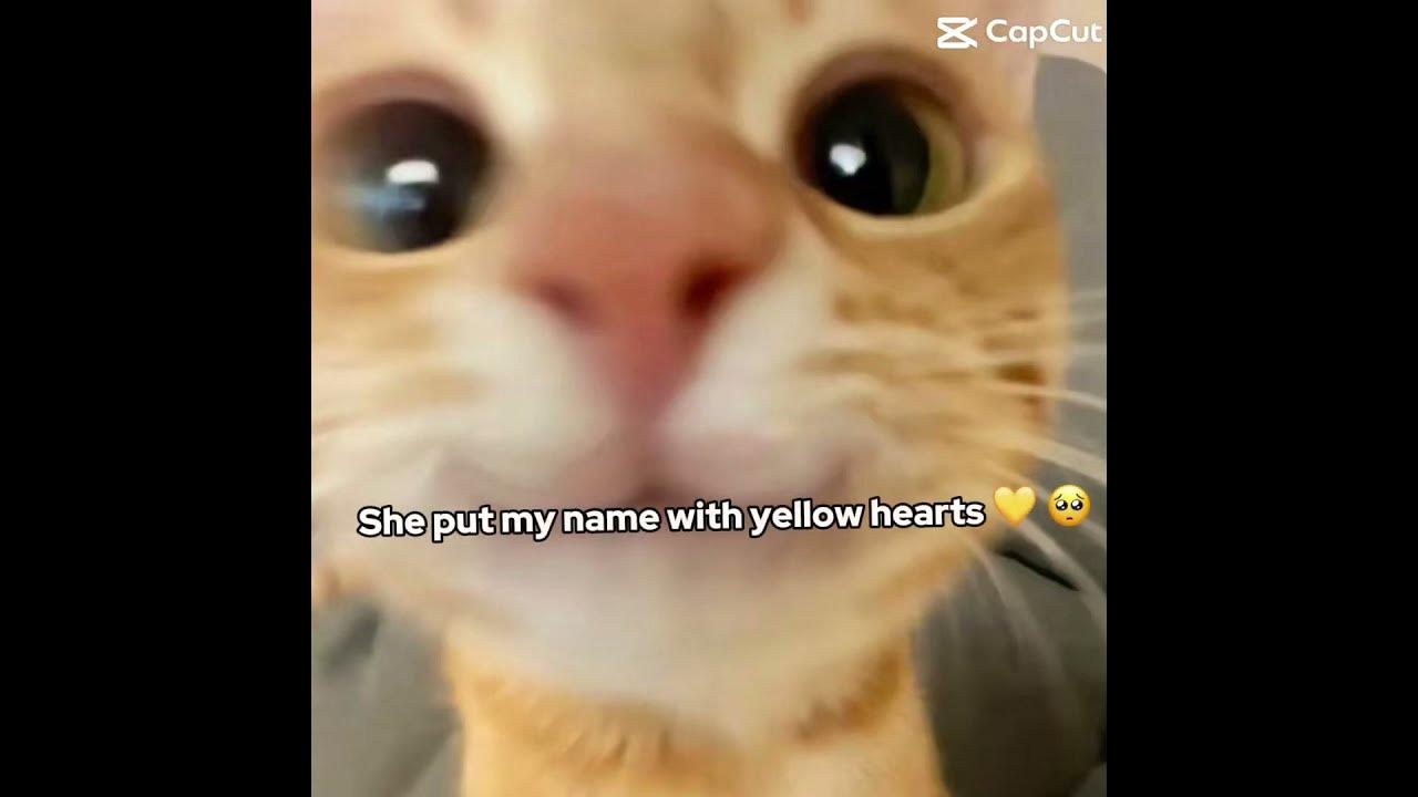 She put my name in yellow hearts youtube