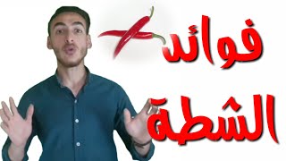 فوائد الفلفل الحار | معلومات غذائية وطبية لم تعرفها من قبل عن الشطة.