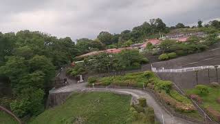 玉川上水車両基地 多摩モノレール タマオラッピング　多摩センター駅