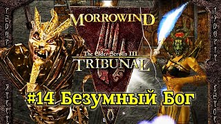 TES III: Morrowind: Tribunal - #14 Безумный Бог