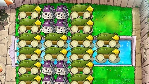 classic 16 cob setup | pool endless