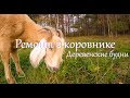 Деревенские будни. Ремонт в коровнике.