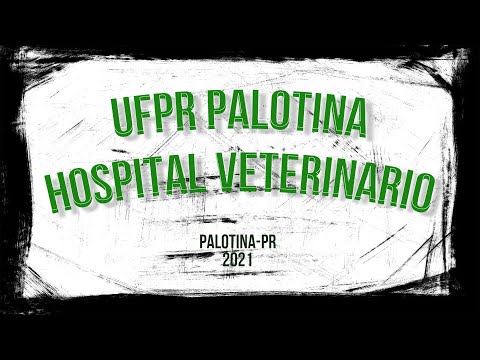 UFPR Palotina - Hospital Veterinário