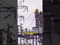 Electrical vs Electronics The Showdown