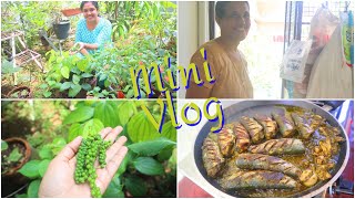 Mini Vlog || Cooking with Amma || Kurumulaku Mathi Fry || Anus Kitchen
