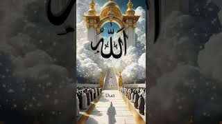 Allah Hafiz 🤔😭😭🫣