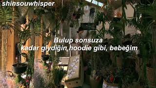 half•alive - summerland türkçe çeviri