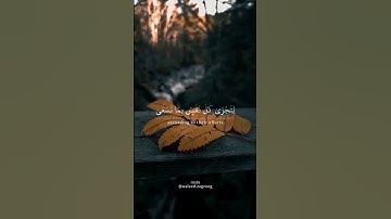القارئ شريف مصطفى || لتجزى كل نفس بما تسعى🧡🎧