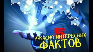 5 УЖАСНО ИНТЕРЕСНЫХ ФАКТОВ